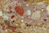 Polished Chert Breccia Slab - Western Australia #132928-1